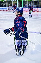 Eishockey, Herren, Penny DEL, DEL, Saison 2022-2023, Playoffs, Viertelfinale, Spiel 5, Straubing Tigers - Grizzlys Wolfsburg, 24.03.2023