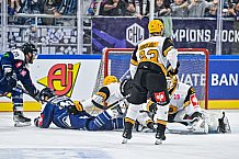 Eishockey, Men, CHL, Champions Hockey League, Regular Saison 2024-25, Game Day 2, Straubing Tigers - Skelleftea AIK, 08.09.2024
