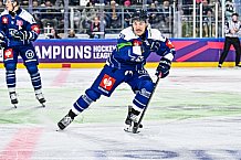 Eishockey, Men, CHL, Champions Hockey League, Regular Saison 2024-25, Game Day 4, Straubing Tigers - Dynamo Pardubice, 15.09.2024