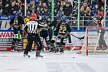Eishockey, Herren, Penny DEL, 20. Spieltag, Saison 2023-2024, Straubing Tigers - Duesseldorfer EG,19.11.2023