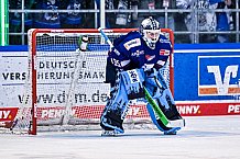 Eishockey, Herren, Penny DEL, DEL, Saison 2022-2023, Playoffs, Viertelfinale, Spiel 5, Straubing Tigers - Grizzlys Wolfsburg, 24.03.2023