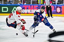 Eishockey, Men, CHL, Champions Hockey League, Regular Saison 2024-25, Game Day 4, Straubing Tigers - Dynamo Pardubice, 15.09.2024