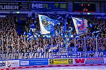 Eishockey, Herren, Penny DEL, Playoffs, Halbfinale, Spiel 4, Saison 2023-2024, Straubing Tigers - Eisbären Berlin, n07.04.2024