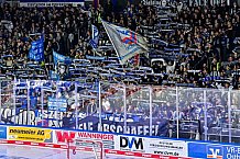 Eishockey, Men, DEL, Penny DEL, Hauptrunde Saison 2024-25, 1. Spieltag, Straubing Tigers - Düsseldorfer EG, 20.09.2024