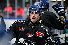 Eishockey, Herren, Penny DEL, 22. Spieltag, Saison 2023-2024, Straubing Tigers - Fischtown Pinguins Bremerhaven,26.11.2023