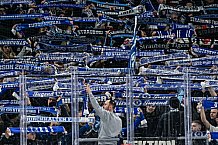 Eishockey, Herren, Penny DEL, 32. Spieltag, Saison 2023-2024, Straubing Tigers - Adler Mannheim,28.12.2023