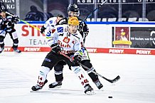 Eishockey, Herren, DEL, Saison 2020-2021, Straubing Tigers - Fishtown Pinguins Bremerhaven, 21.03.2021