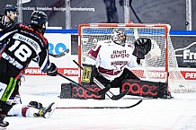 Eishockey, Herren, DEL, Saison 2020-2021, Straubing Tigers - Kölner Haie, 11.04.2021