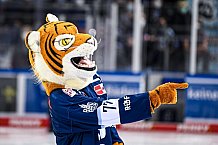 Eishockey, Herren, DEL, Saison 2021-2022, Straubing Tigers - Adler Mannheim, 10.09.2021