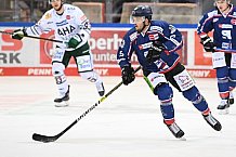 Straubing Tigers - Augsburger Panther