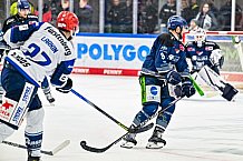 Eishockey, Herren, Penny DEL, Playoffs, Viertelfinale, Spiel 5, Saison 2023-2024, Straubing Tigers - Schwenninger Wild Wings,26.03.2024