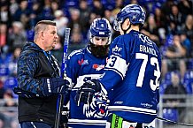 Eishockey, Herren, DEL, Penny DEL, Saison 2023-2024, Straubing Tigers, öffentliches Eistraining,06.08.2023