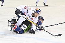 Eishockey, Herren, DEL, Saison 2020-2021, Straubing Tigers - EHC Red Bull München, 22.02.2021