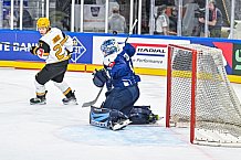 Eishockey, Men, CHL, Champions Hockey League, Regular Saison 2024-25, Game Day 2, Straubing Tigers - Skelleftea AIK, 08.09.2024