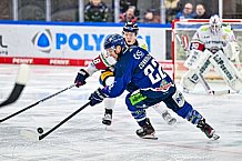 Eishockey, Men, DEL, Penny DEL, Hauptrunde Saison 2024-25, 5. Spieltag, Straubing Tigers - Eisbären Berlin, 01.10.2024