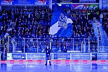 Eishockey, Herren, Penny DEL, DEL, Saison 2022-2023, Playoffs, Viertelfinale, Spiel 5, Straubing Tigers - Grizzlys Wolfsburg, 24.03.2023