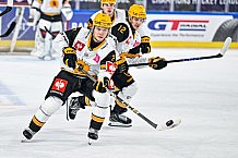 Eishockey, Men, CHL, Champions Hockey League, Regular Saison 2024-25, Game Day 2, Straubing Tigers - Skelleftea AIK, 08.09.2024