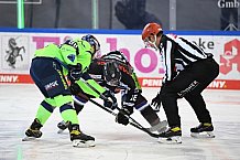 Eishockey, Herren, DEL, Saison 2020 2021, Straubing Tigers - ERC Ingolstadt, 31.01.2021