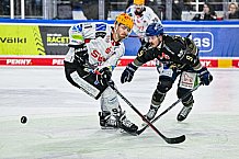 Eishockey, Herren, Penny DEL, 22. Spieltag, Saison 2023-2024, Straubing Tigers - Fischtown Pinguins Bremerhaven,26.11.2023