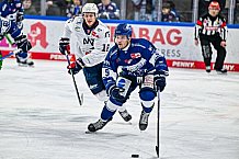 Eishockey, Herren, Penny DEL, 32. Spieltag, Saison 2023-2024, Straubing Tigers - Adler Mannheim,28.12.2023