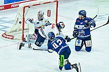 Eishockey, Herren, Penny DEL, 5. Spieltag, Saison 2023-2024, Straubing Tigers - EHC Red Bull Muenchen,29.09.2023