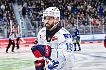 Eishockey, Men, DEL, Penny DEL, Hauptrunde Saison 2024-25, 8. Spieltag, Straubing Tigers - Adler Mannheim, 11.10.2024