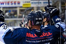 Eishockey, Herren, DEL, Saison 2021-2022, Straubing Tigers - Adler Mannheim, 10.09.2021