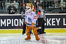 Eishockey, CHL, Champions Hockey League, 1. Spieltag, Saison 2022-2023, Gruppe F, Comarch Cracovia - Straubing Tigers, 01.09.2022