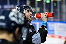 Eishockey, Herren, DEL, Saison 2021-2022, 44. Spieltag, Straubing Tigers - Adler Mannheim,  19.01.2022