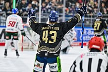 Eishockey, Herren, Penny DEL, 34. Spieltag, Saison 2023-2024, Straubing Tigers - Augsburger Panther,03.01.2024