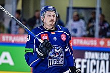 Eishockey, Herren, CHL, Champions Hockey League, Saison 2022-2023, Achtelfinale, Straubing Tigers - Frölunda HC Göteborg, Rückspiel, 22.11.2022