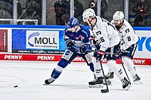 Eishockey, Herren, Penny DEL, 44. Spieltag, Saison 2023-2024, Straubing Tigers - Adler Mannheim,04.02.2024