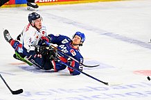 Eishockey, Herren, DEL, Saison 2020-2021, Playoff Viertelfinale 1, Adler Mannheim - Straubing Tigers, 20.04.2021