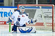 Eishockey, Herren, DEL, Saison 2023-2023, Straubing Tigers, Showtraining, 06.08.2022