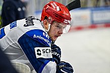 Eishockey, Herren, Penny DEL, Playoffs, Viertelfinale, Spiel 7, Saison 2023-2024, Straubing Tigers - Schwenninger Wild Wings,30.03.2024