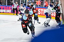 Eishockey, Men, CHL, Champions Hockey League, Regular Saison 2024-25, Game Day 1, Straubing Tigers - SonderjyskE Vojens, 06.09.2024