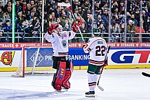 Eishockey, Herren, CHL, Champions Hockey League, Saison 2022-2023, Achtelfinale, Straubing Tigers - Frölunda HC Göteborg, Rückspiel, 22.11.2022