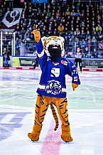 Eishockey, Herren, Penny DEL, DEL, Saison 2022-2023, Playoffs, Viertelfinale, Spiel 5, Straubing Tigers - Grizzlys Wolfsburg, 24.03.2023