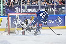 Eishockey, Men, CHL, Champions Hockey League, Regular Saison 2024-25, Game Day 2, Straubing Tigers - Skelleftea AIK, 08.09.2024