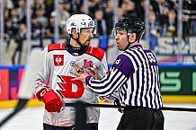Eishockey, Men, CHL, Champions Hockey League, Regular Saison 2024-25, Game Day 4, Straubing Tigers - Dynamo Pardubice, 15.09.2024