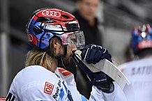 Straubing Tigers - ERC Ingolstadt