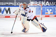 Eishockey, Herren, DEL, Saison 2020-2021, Straubing Tigers - Adler Mannheim, 06.03.2021