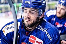 Eishockey, Herren, Penny DEL, DEL, Saison 2022-2023, Playoffs, Viertelfinale, Spiel 7, Straubing Tigers - Grizzlys Wolfsburg, 29.03.2023