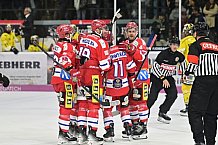 Herren, Eishockey, Oberliga-Süd, DEB, Saison 2024-2025, Deggendorfer SC - Tölzer Löwen, 22.09.2024