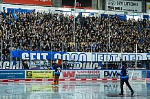 Eishockey, Herren, DEL, Saison 2021-2022, Playoff, Viertelfinale, Spiel 1, Straubing Tigers - Adler Mannheim, 10.04.2022