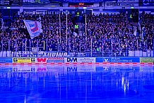 Eishockey, Herren, Penny DEL, 52. Spieltag, Saison 2023-2024, Straubing Tigers - Grizzlys Wolfsburg,08.03.2024