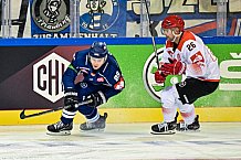 Eishockey, CHL, Champions Hockey League, 3. Spieltag, Saison 2022-2023, Gruppe F, Straubing Tigers - Comrach Cracovia, 09.09.2022