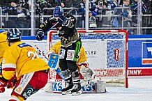 Eishockey, Herren, Penny DEL, 20. Spieltag, Saison 2023-2024, Straubing Tigers - Duesseldorfer EG,19.11.2023