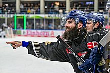 Eishockey, Herren, Penny DEL, 20. Spieltag, Saison 2023-2024, Straubing Tigers - Duesseldorfer EG,19.11.2023