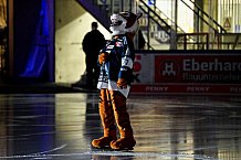 Eishockey, Herren, DEL, Saison 2021-2022, 46. Spieltag, Straubing Tigers - Schwenninger Wild Wings,  13.02.2022